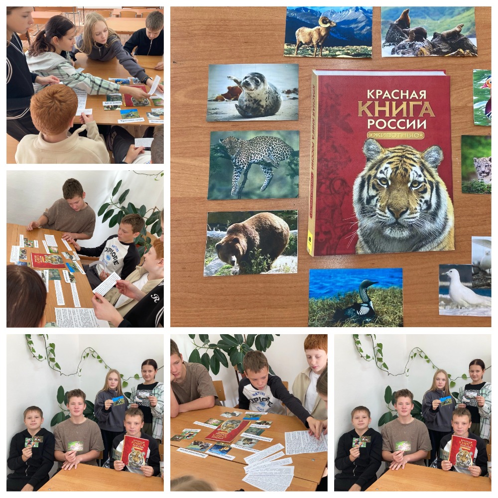 Всемирный день защиты животных.